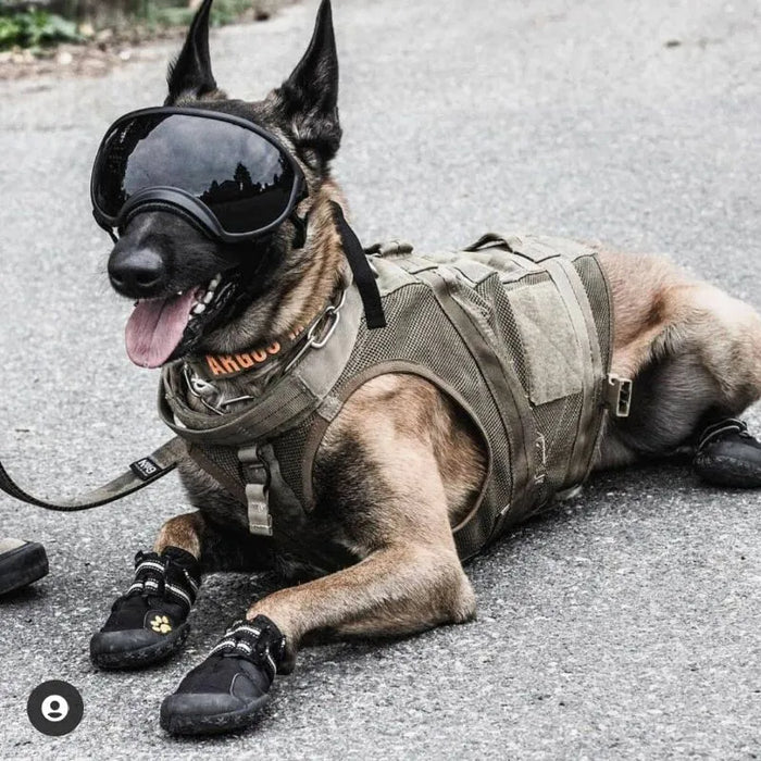 Dog Goggles | UV Protection & Windproof Sunglasses