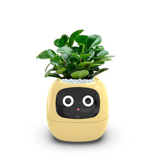 Smart Sensors Planter - 7 Smart Sensors, and Ai Chips Make Raising Plants Easy and Fun for Living Room