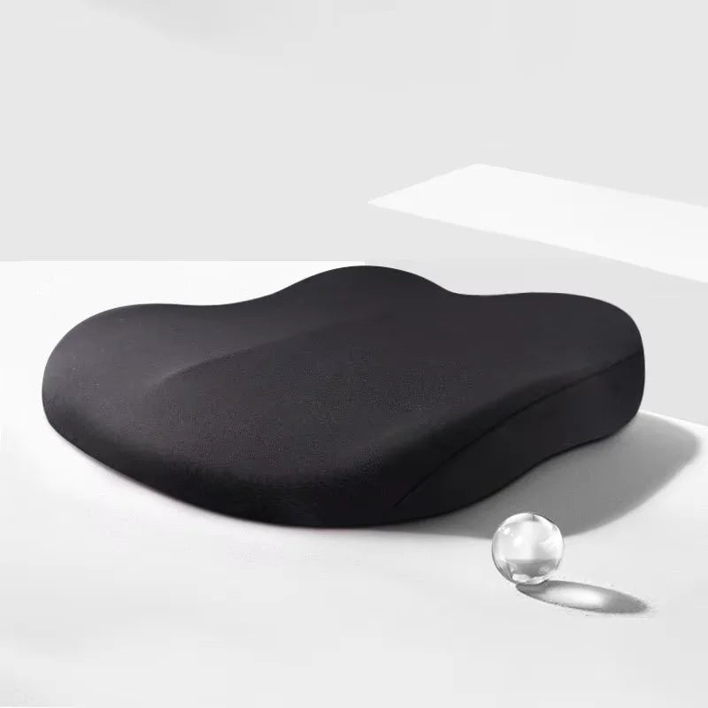 Adult Car Seat Booster