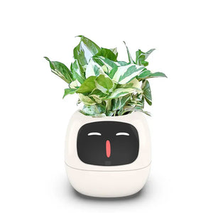 Smart Sensors Planter - 7 Smart Sensors, and Ai Chips Make Raising Plants Easy and Fun for Living Room