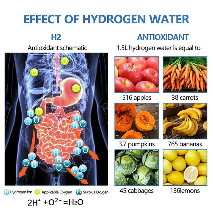 Hydrogen Water Bottle