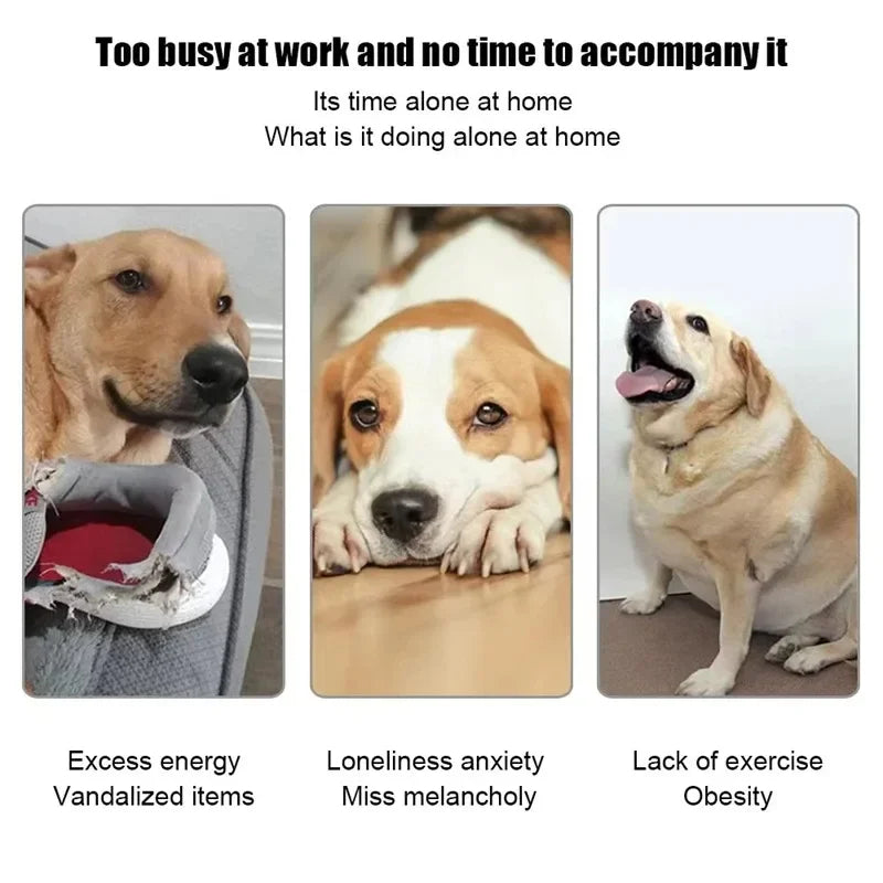 Automatic Dog Ball Thrower With 3 Distance Settings