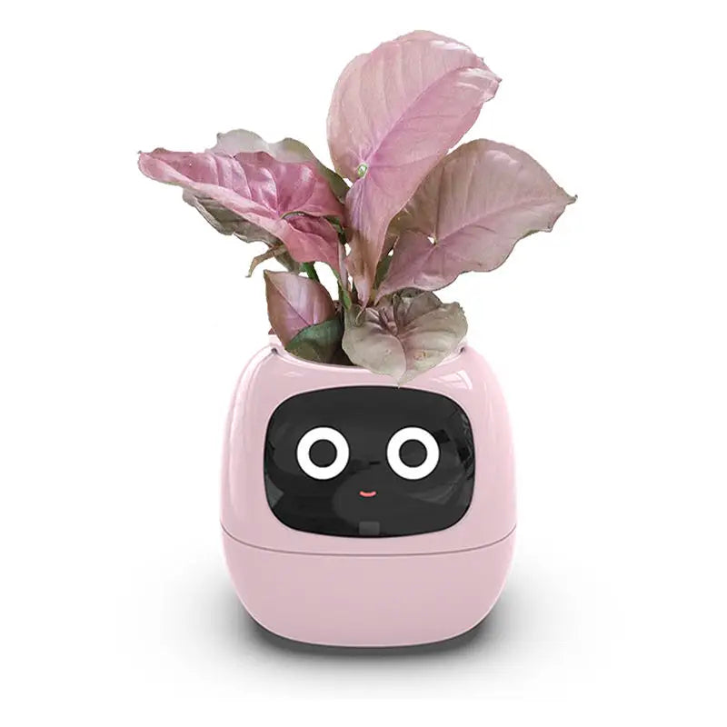 Smart Sensors Planter - 7 Smart Sensors, and Ai Chips Make Raising Plants Easy and Fun for Living Room