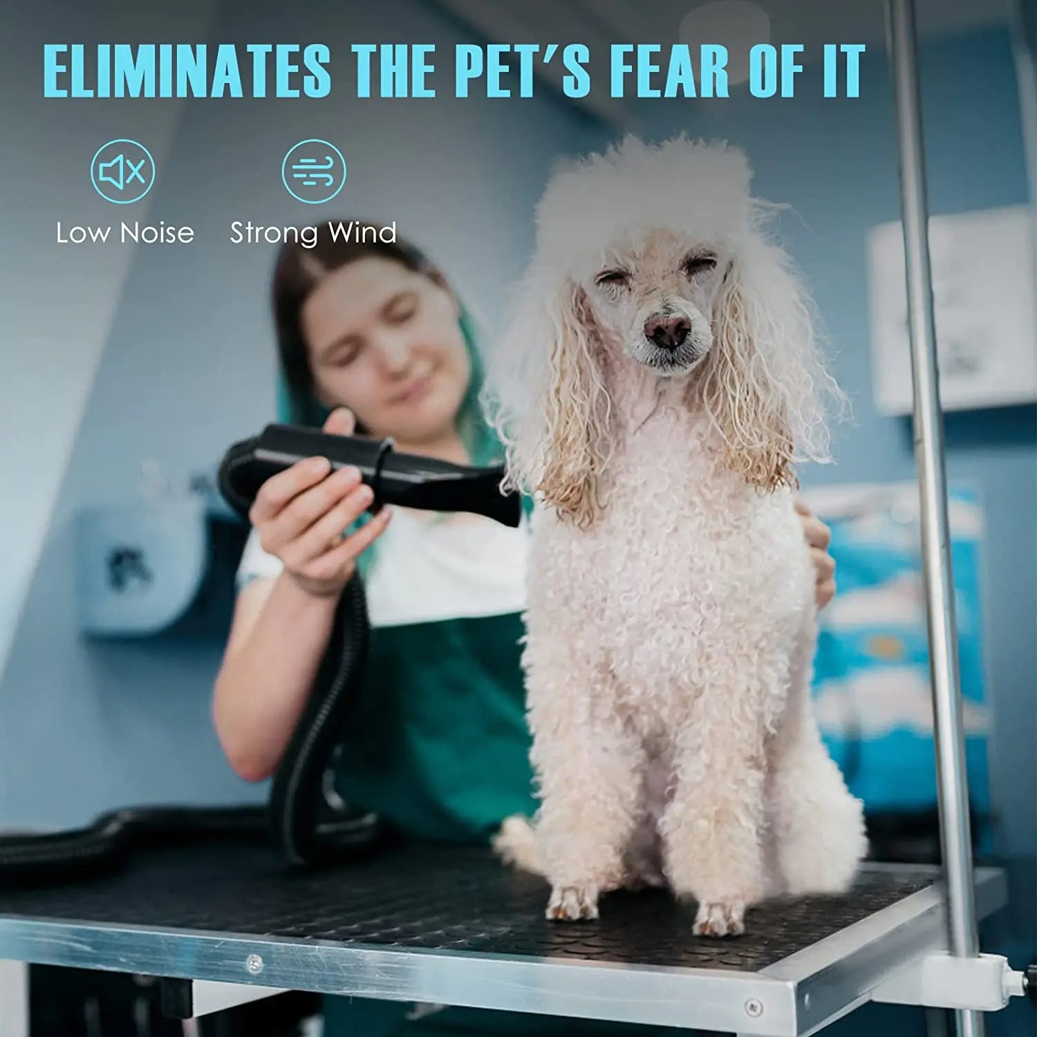 Premium High-Velocity Dog Hair Grooming Blow Dryer