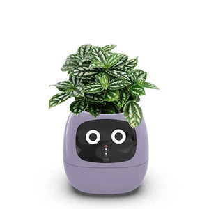 Smart Sensors Planter - 7 Smart Sensors, and Ai Chips Make Raising Plants Easy and Fun for Living Room