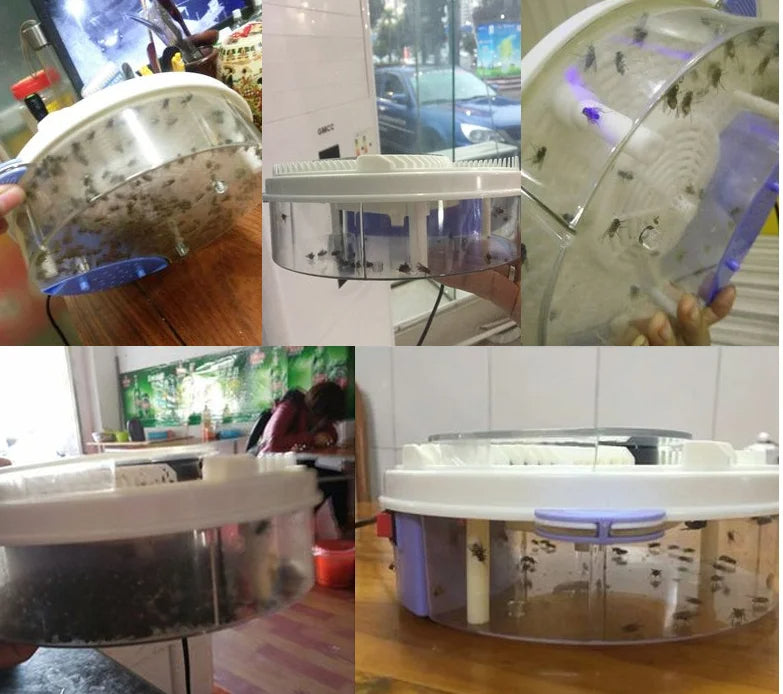 BuzzOff | FlyFree – The World's Best Fly Trap