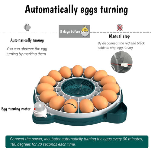 15 Eggs Incubator with Automatic Humidity Control