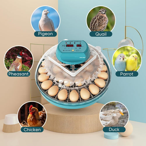 15 Eggs Incubator with Automatic Humidity Control