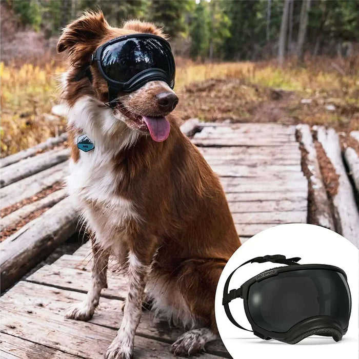 Dog Goggles | UV Protection & Windproof Sunglasses