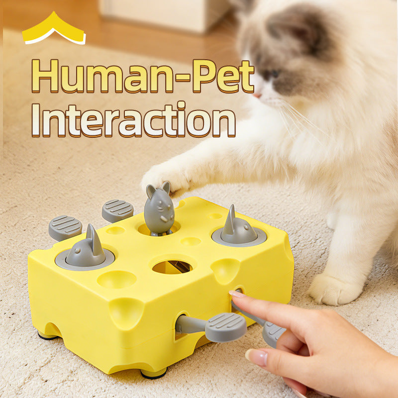 Interactive Cat Toys | Engaging Cat Game with Movements | Stimulates Hunting Instincts for Healthy Play