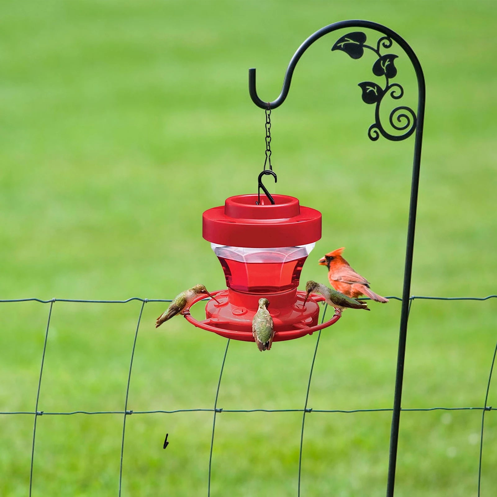 Hanging Bee Proof Hummingbird Water Feeders with Perch