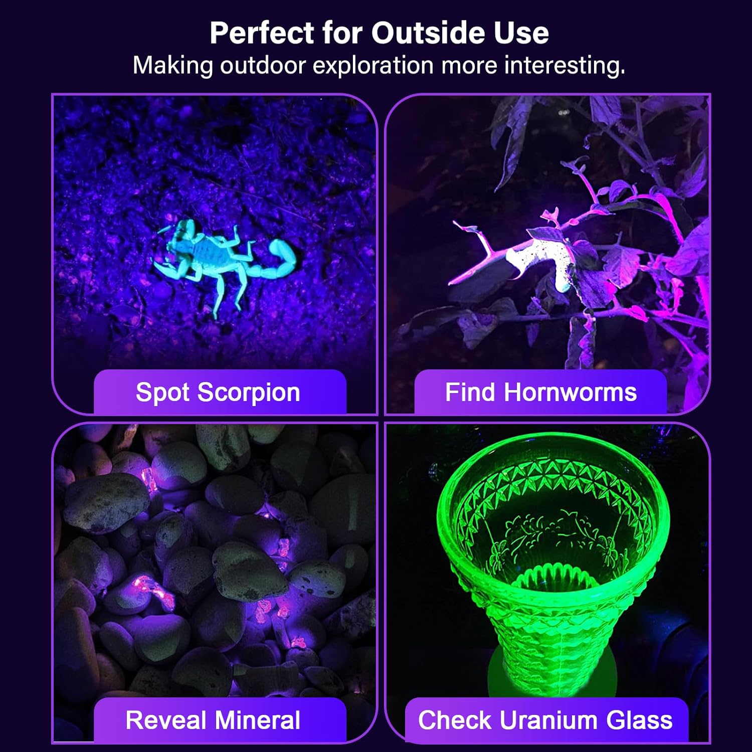 UVGuard | UV Torch for Bed Bug Detection and Stain Finder