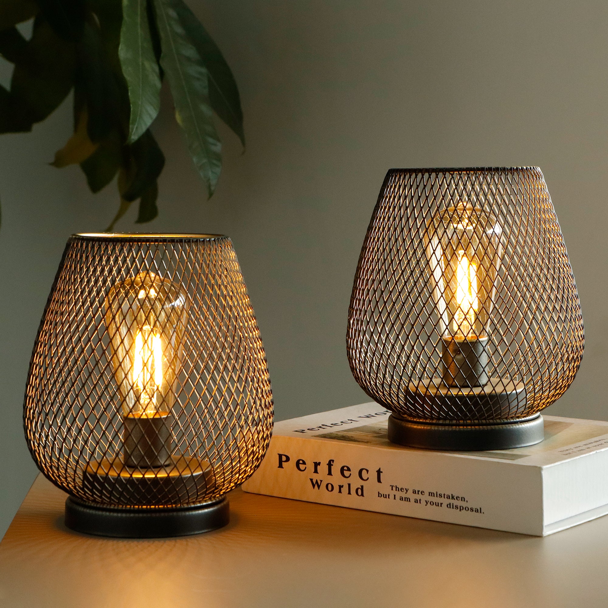 Dimmable Portable Wireless LED Table Lamp