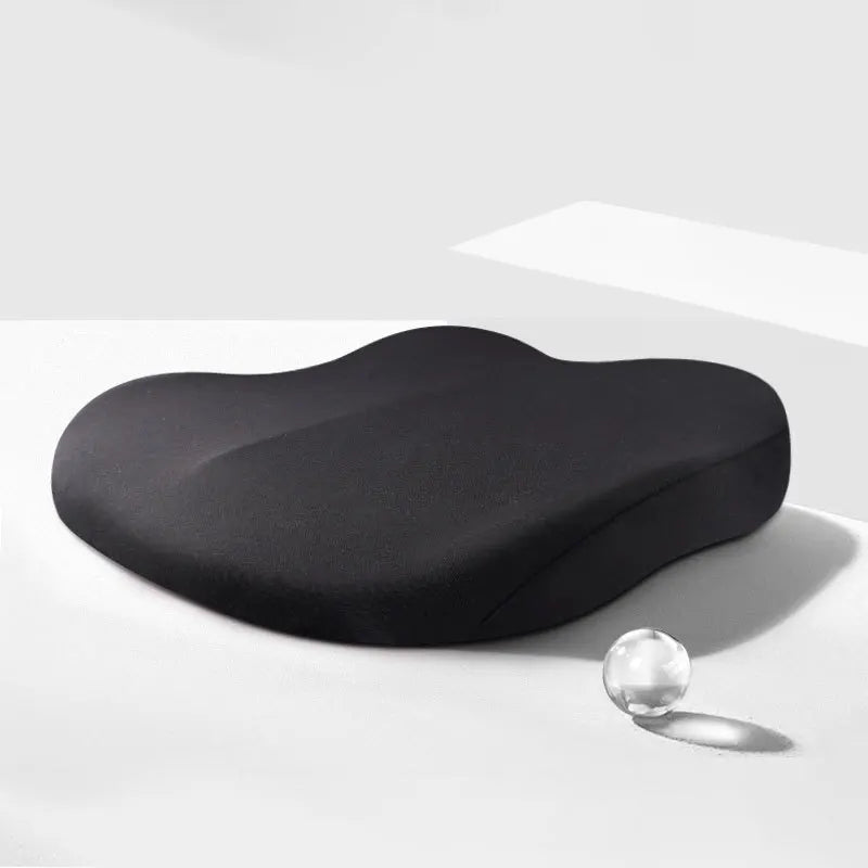 Adult Car Seat Booster