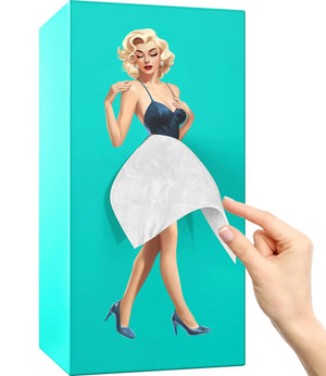 Flying Skirt Tissue Box