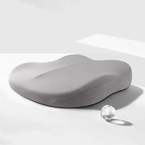 Adult Car Seat Booster