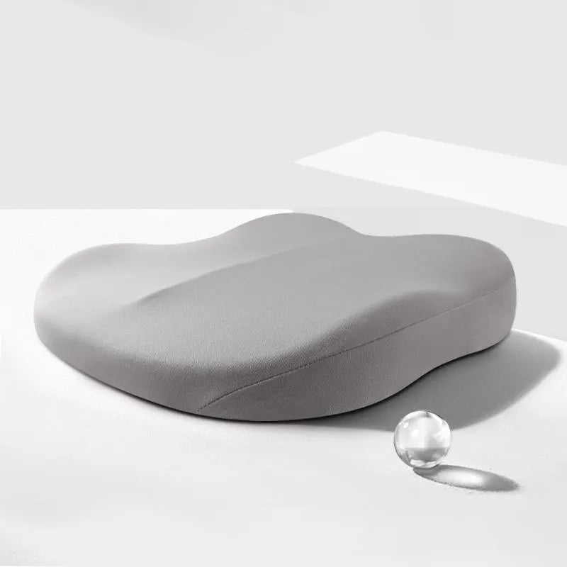 Adult Car Seat Booster