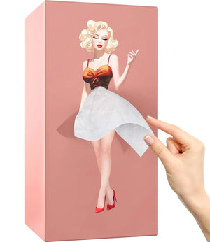 Flying Skirt Tissue Box
