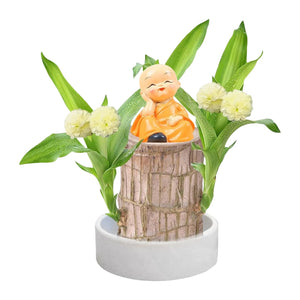 Lucky Brazilian Wood Plant Home