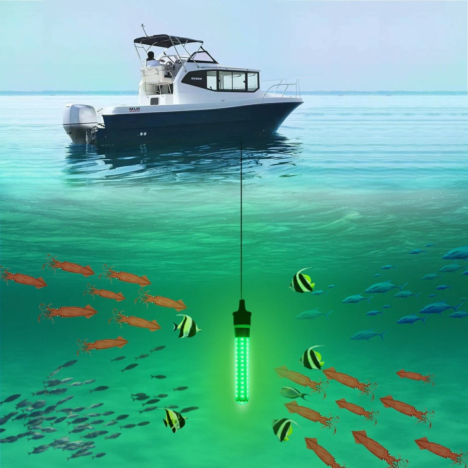 Underwater Night Fishing Light - Lumens Fish Attracting Light, Night Fishing Light