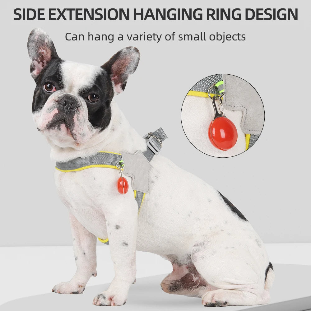 Pet Harness For Small Medium Dogs And Cats