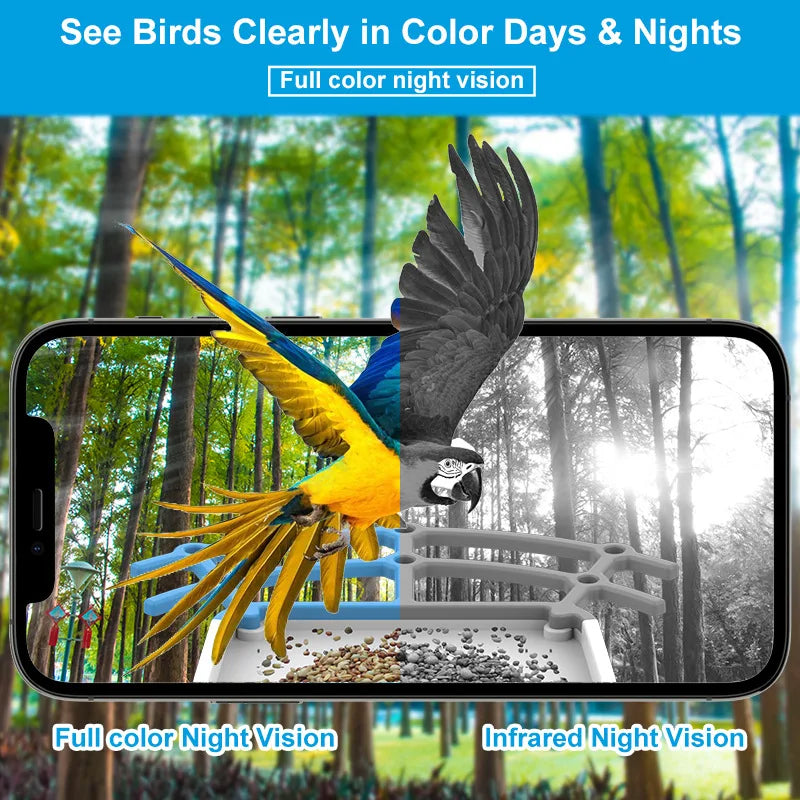 Smart Bird Feeder with Camera Solar Powered