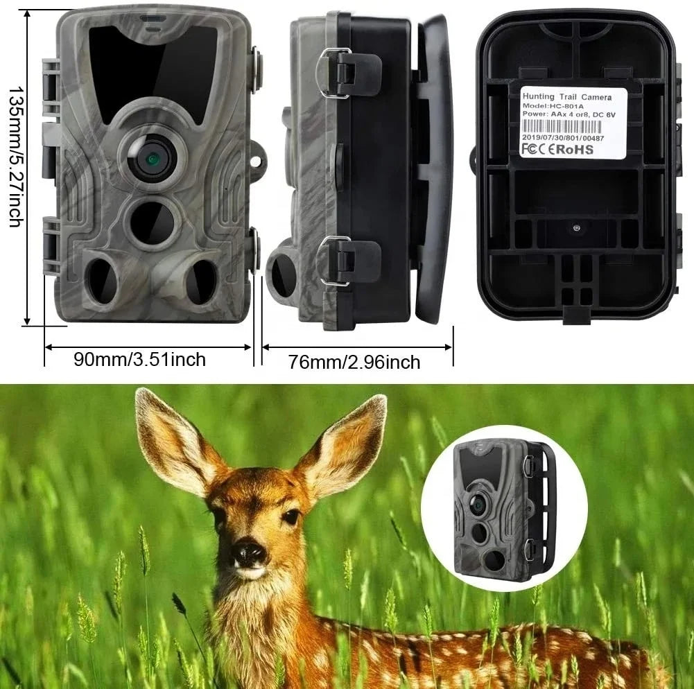 Wildlife & Trail Camera