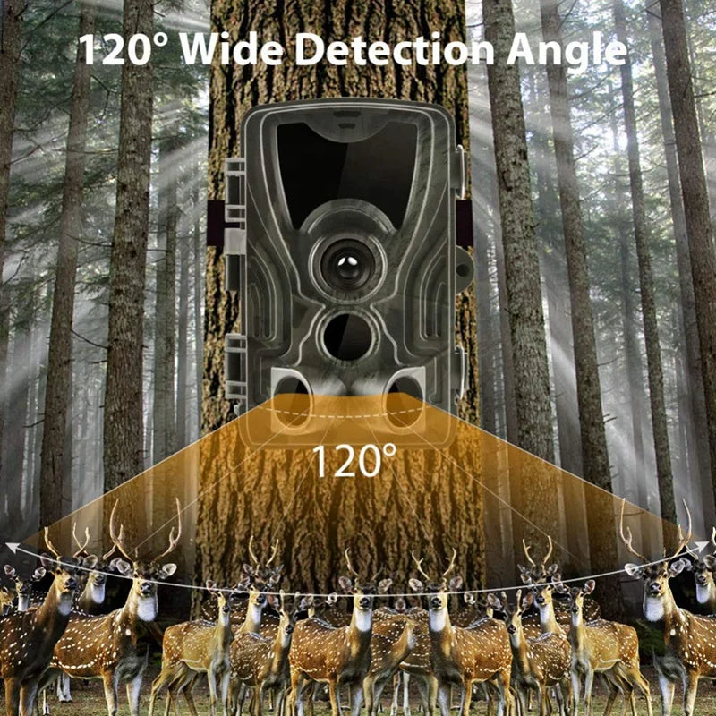 Wildlife & Trail Camera