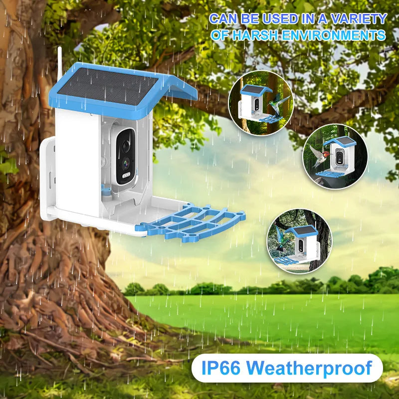 Smart Bird Feeder with Camera Solar Powered