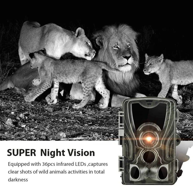 Wildlife & Trail Camera