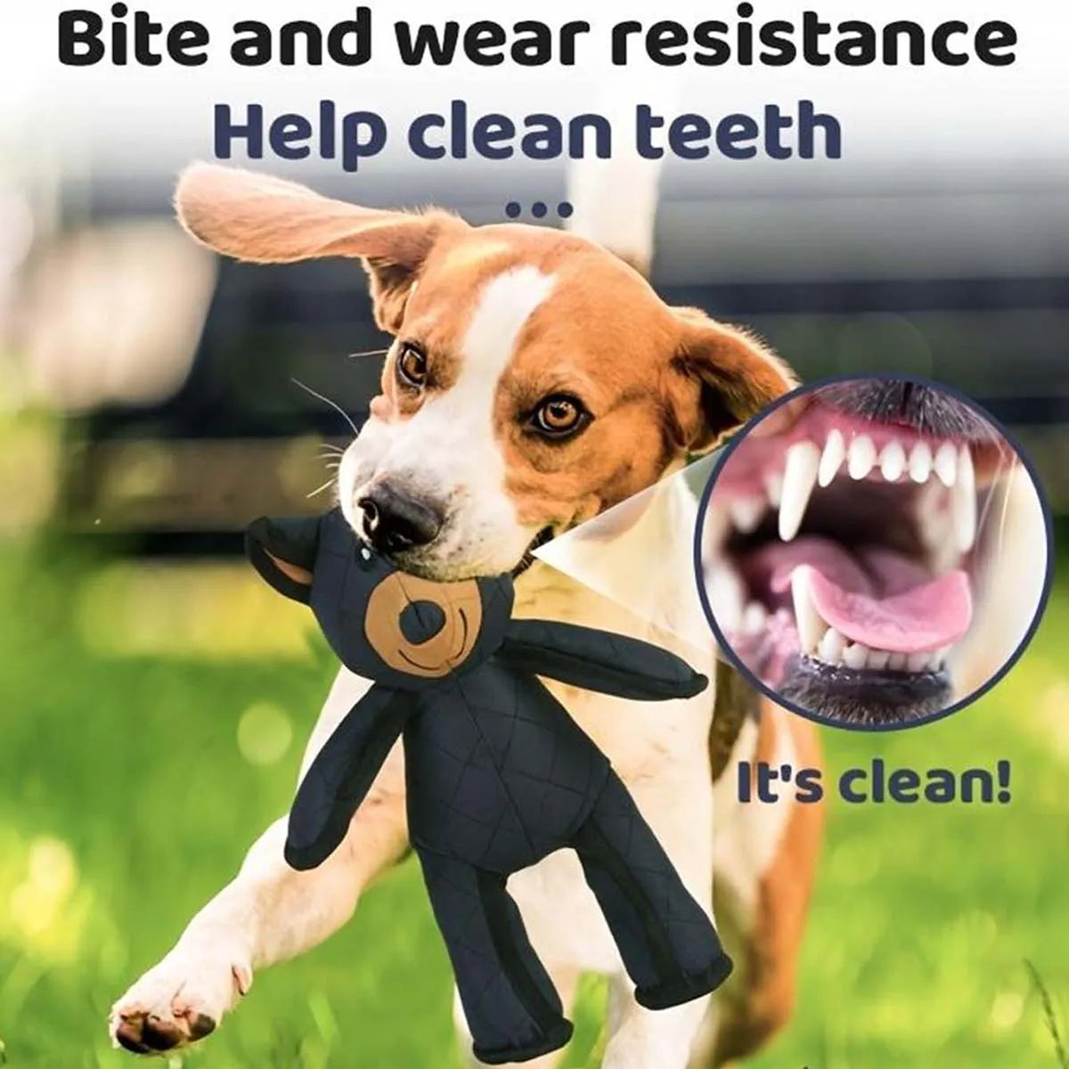 Indestructible & Interactive Bear Dog Toys For Heavy Chewers