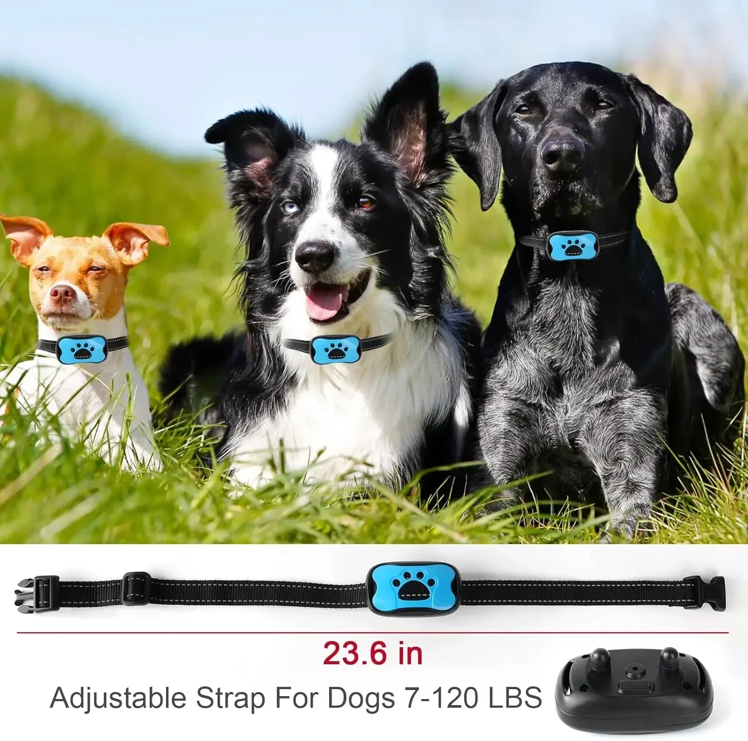 BarkBuddy Anti-Bark Dog Collar