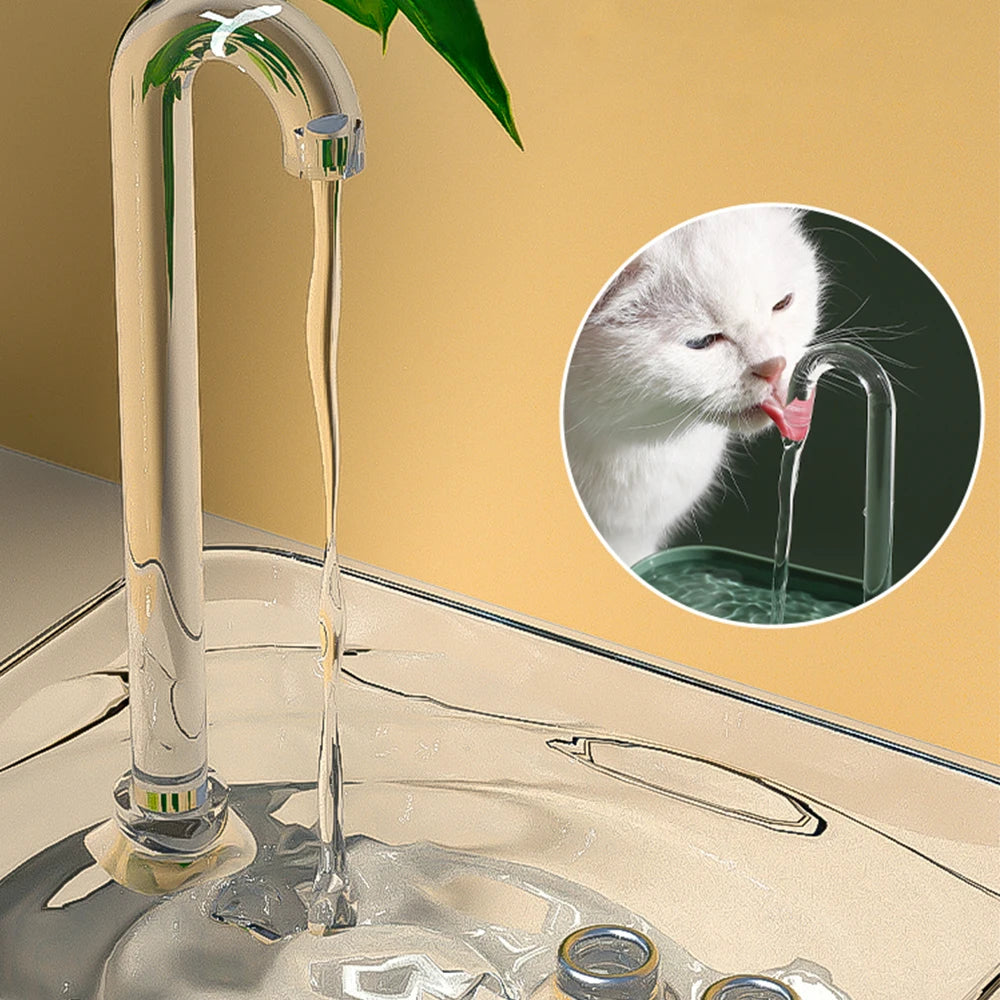 Cat Water Fountain