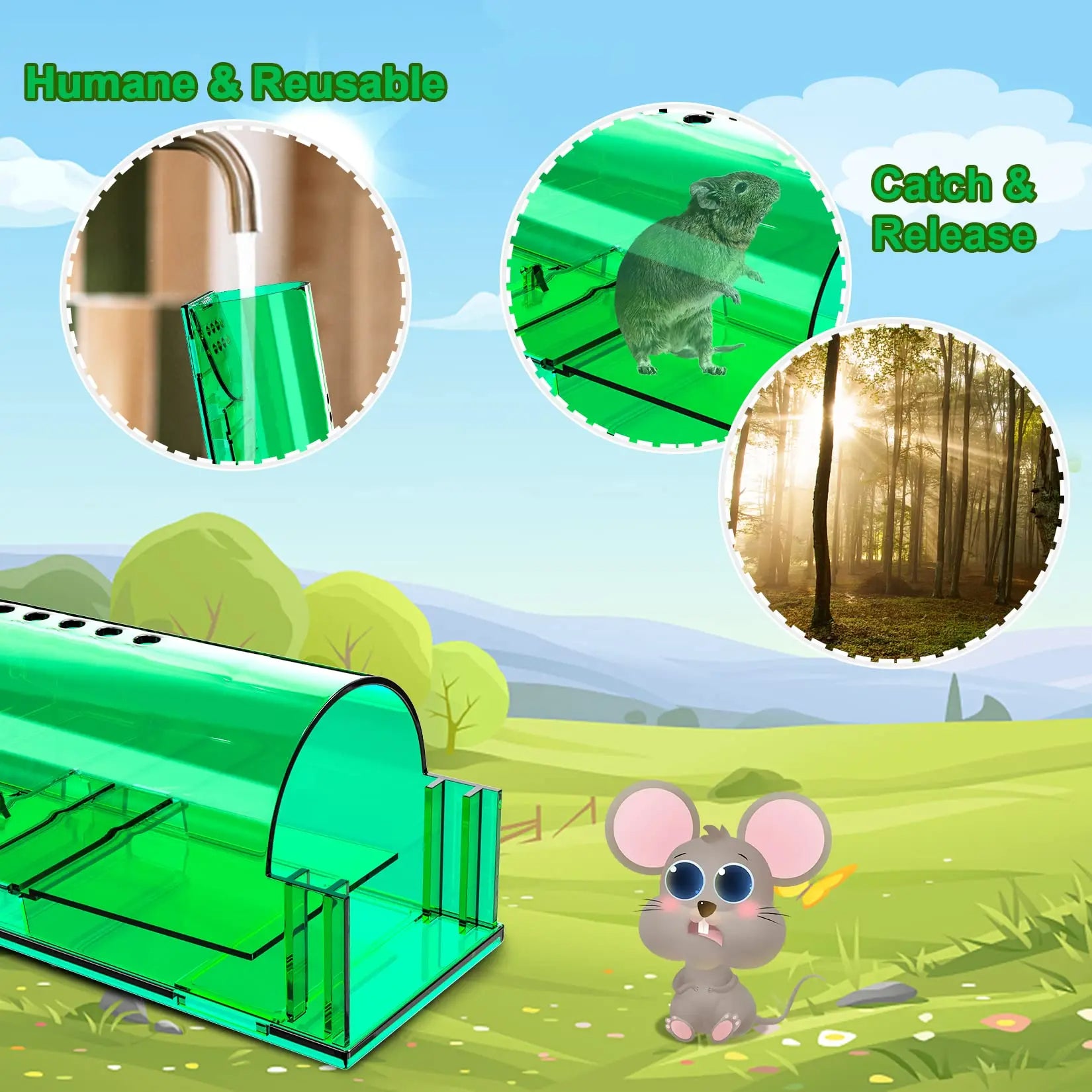 4-Pack Mouse Trap