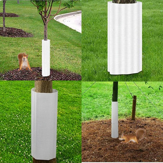 Squirrel Baffle for Trees & Poles – 6-Pack Shield Set