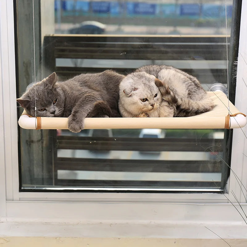 Cat Window Perch