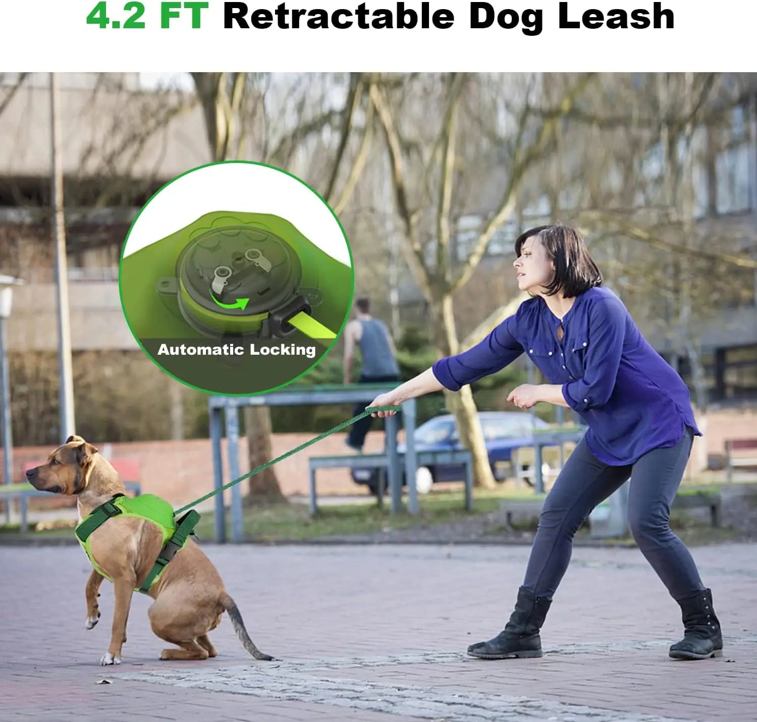 Dog Harness and Retractable Leash Set All-in-One