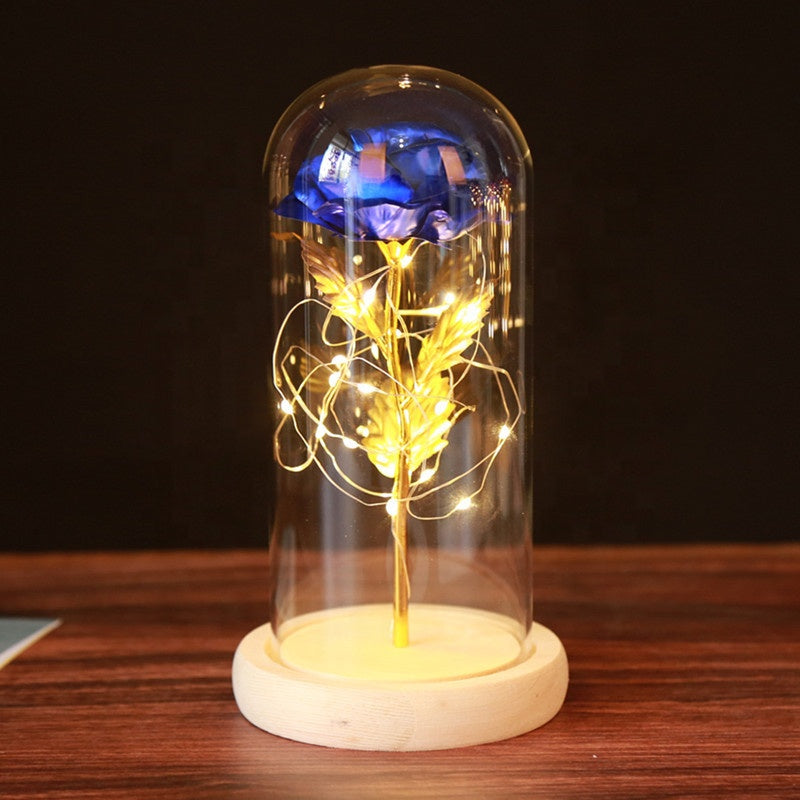 Eternal Rose Enclosed Flower Glass Elegant Gift