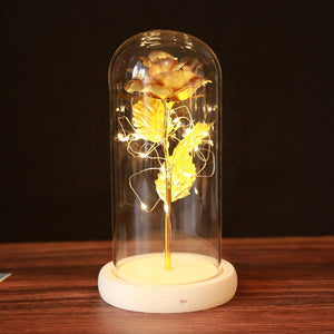 Eternal Rose Enclosed Flower Glass Elegant Gift