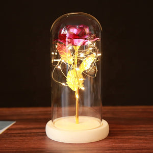 Eternal Rose Enclosed Flower Glass Elegant Gift