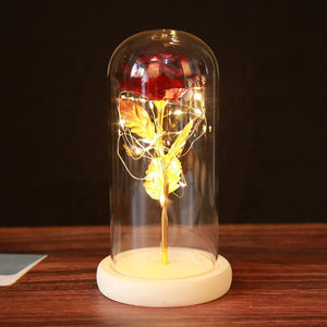 Eternal Rose Enclosed Flower Glass Elegant Gift