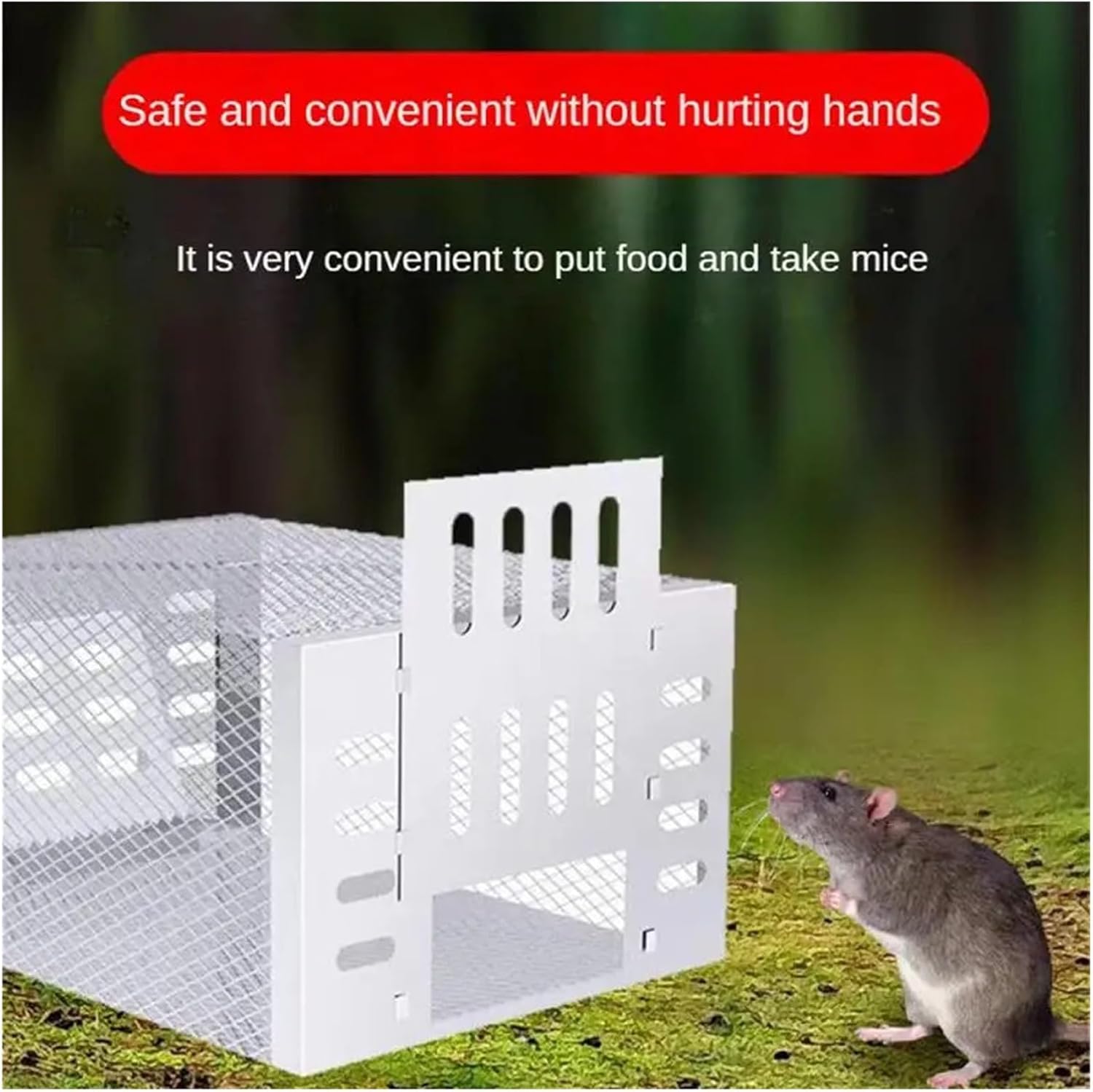 Humane Mouse Trap for Safe & Effective Pest Control – Reusable Large Capacity