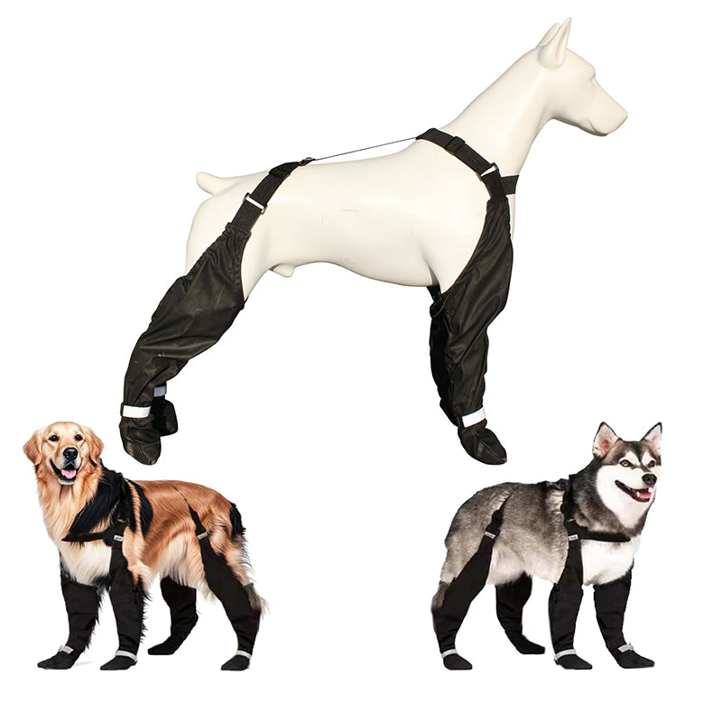 Durable Dog Boots for All Weather Protection – Waterproof Dog Shoes for Snow, Hiking, and Walking