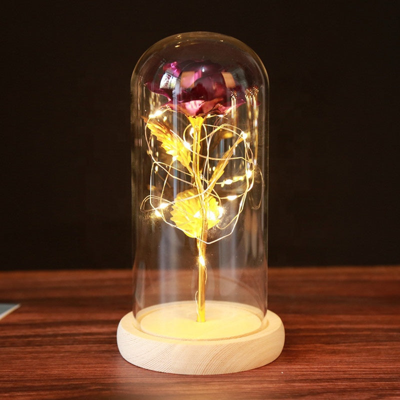 Eternal Rose Enclosed Flower Glass Elegant Gift