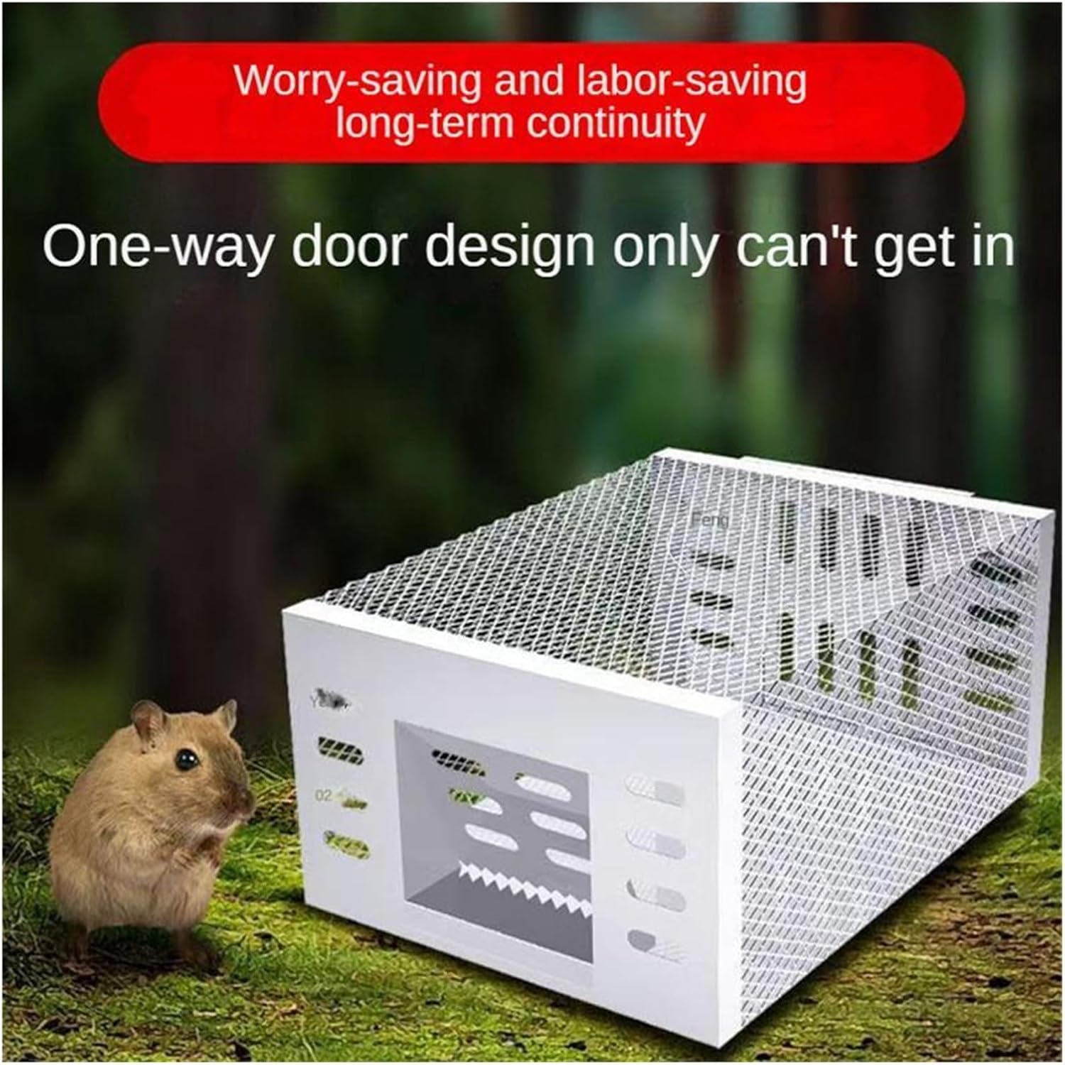 Humane Mouse Trap for Safe & Effective Pest Control – Reusable Large Capacity