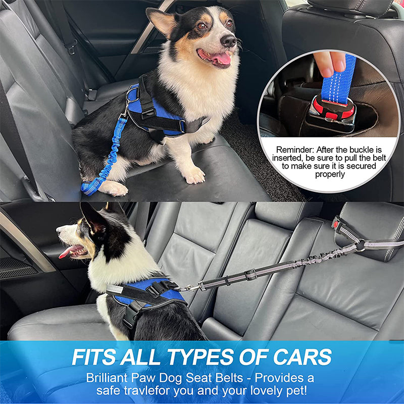 Dog Seat Belt | Adjustable Car Harness with 360° Rotation