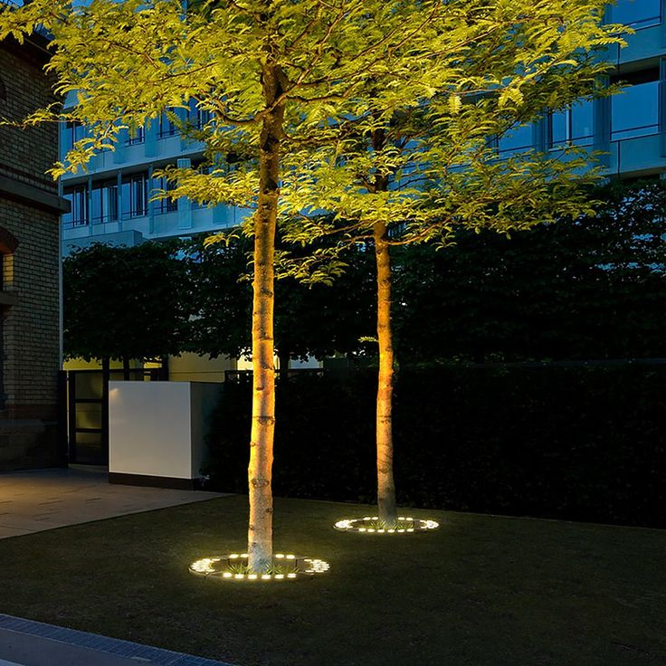Treelighta – Premium LED Tree Spotlight for Elegant Outdoor Lighting