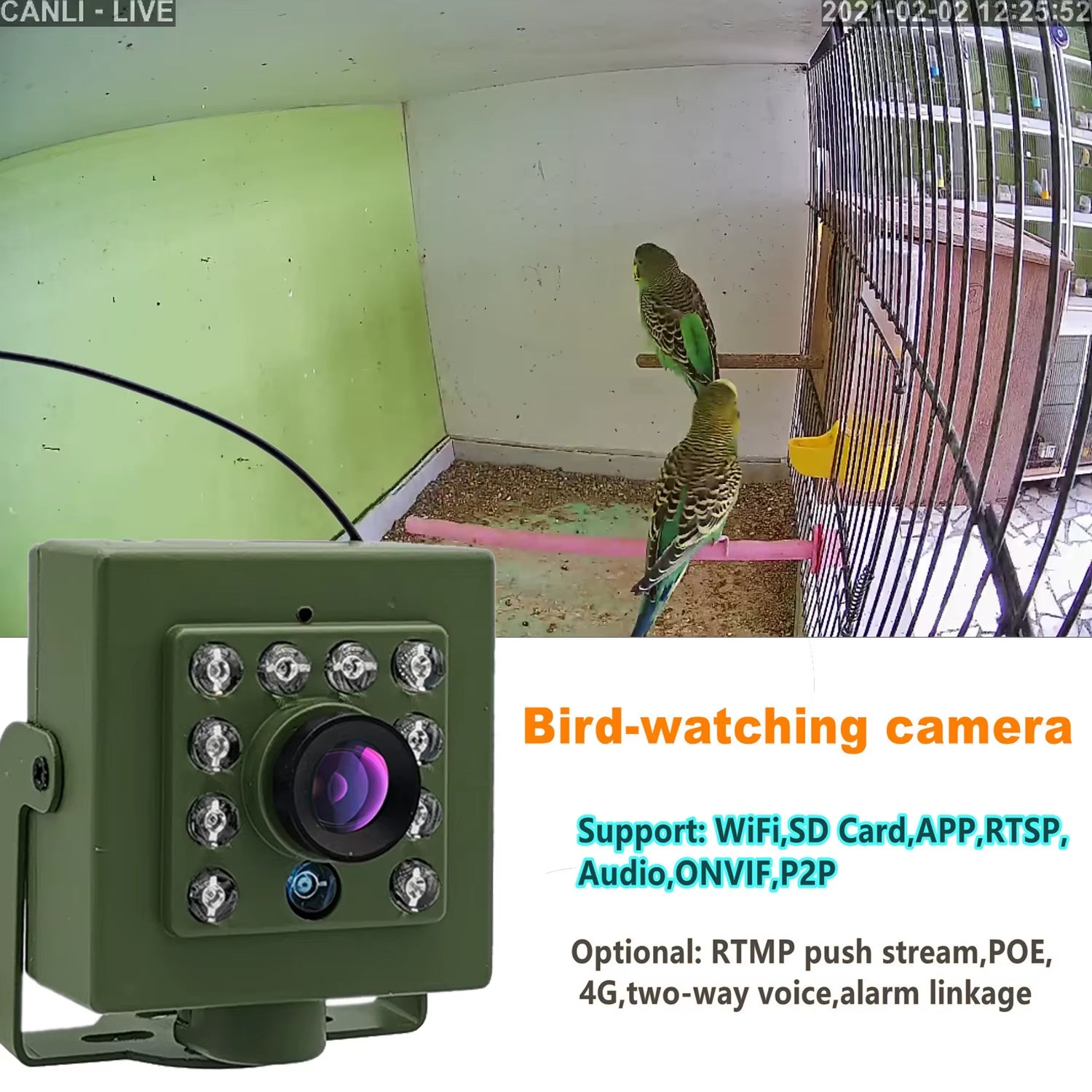 NestCam HD WiFi Bird Nest Camera – 1080p Waterproof Outdoor Wildlife Camera with Night Vision