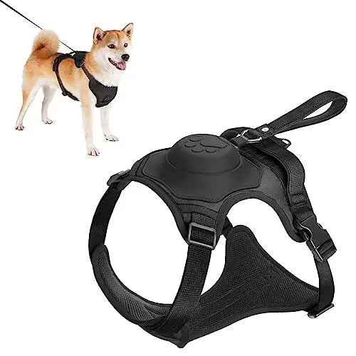 Dog Harness and Retractable Leash Set All-in-One