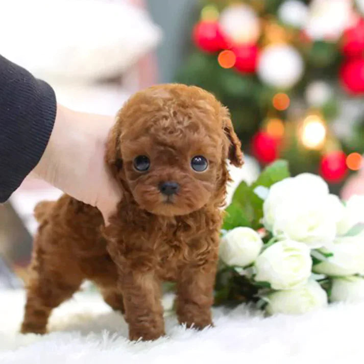 Realistic Robotic Dog Plushie – Interactive Dog Toy That Walks Barks & Wags Tail